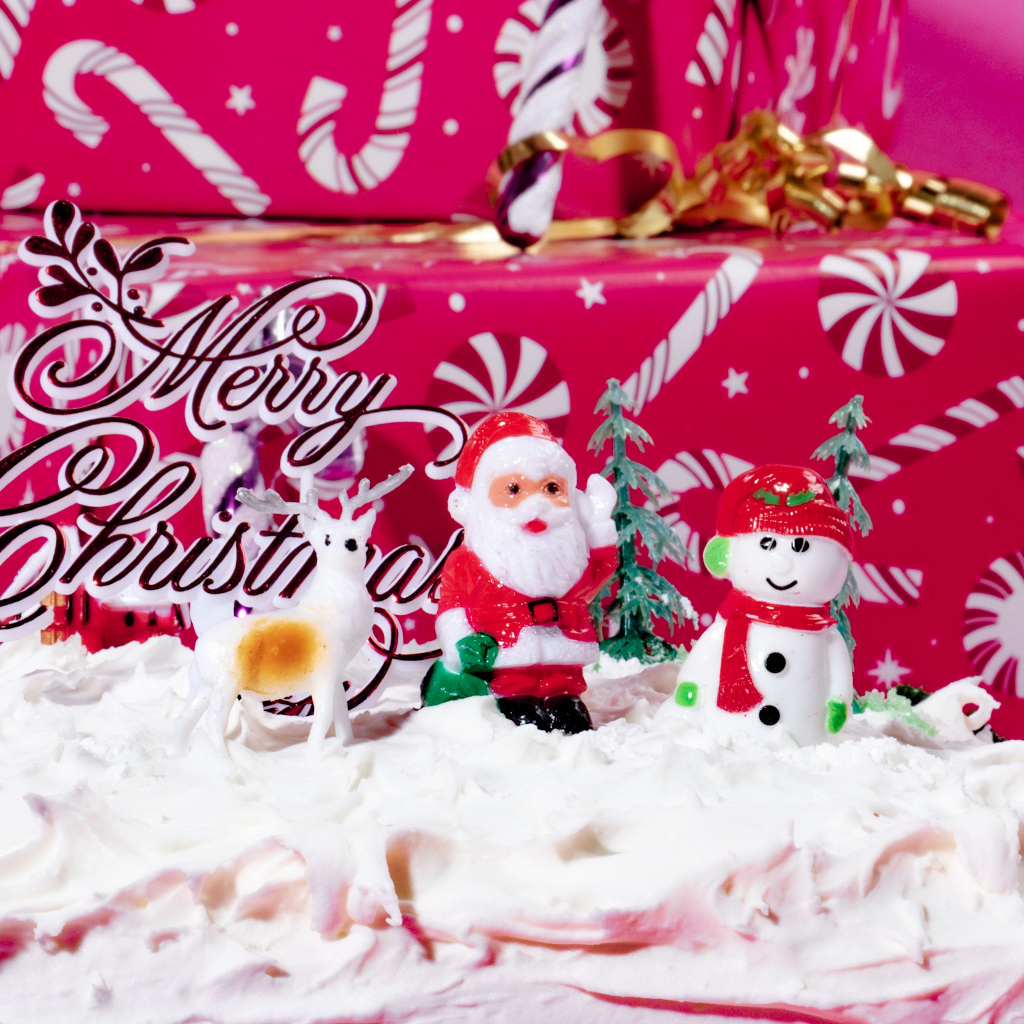 Christmas Cake (Iced & Marzipan All Over)