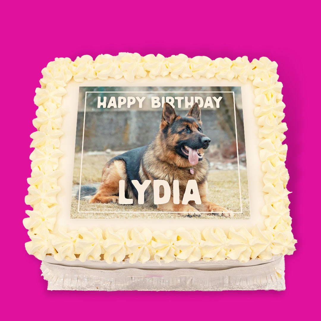 Dogs Pre-Designed Cakes