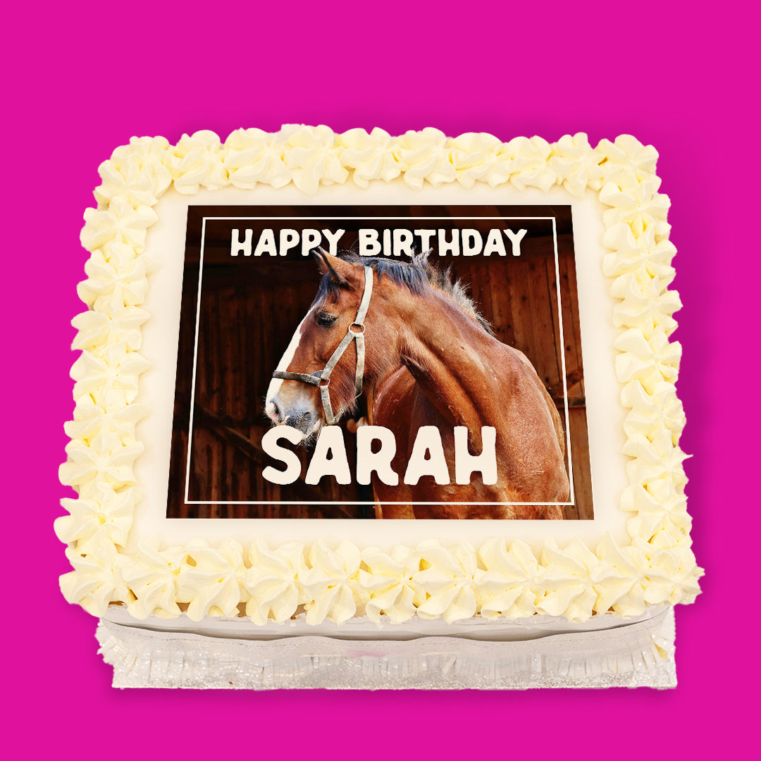 Animal Pre-Designed Cakes