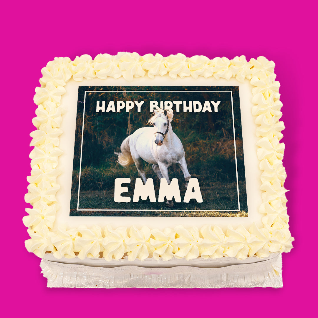 Animal Pre-Designed Cakes