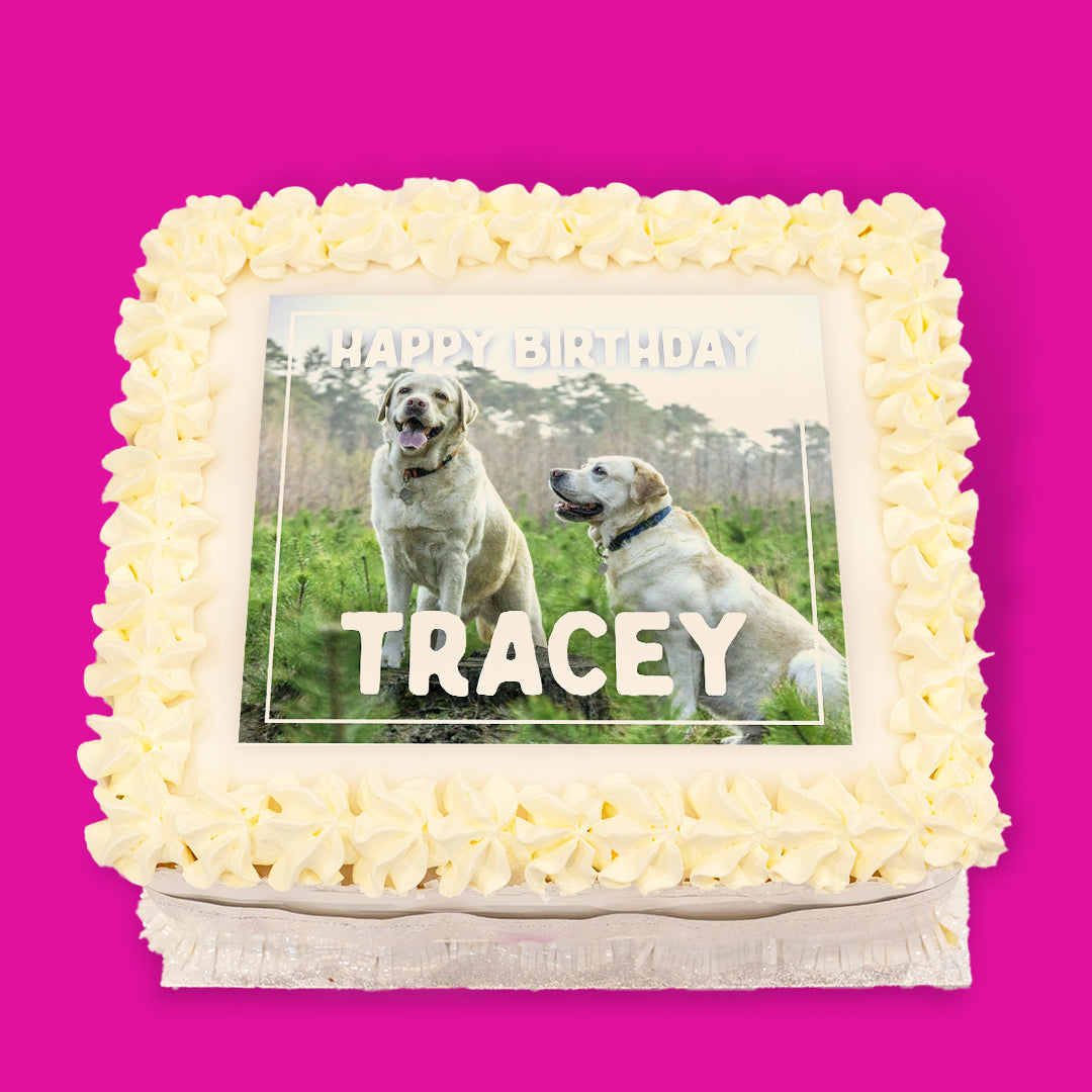 Dogs Pre-Designed Cakes