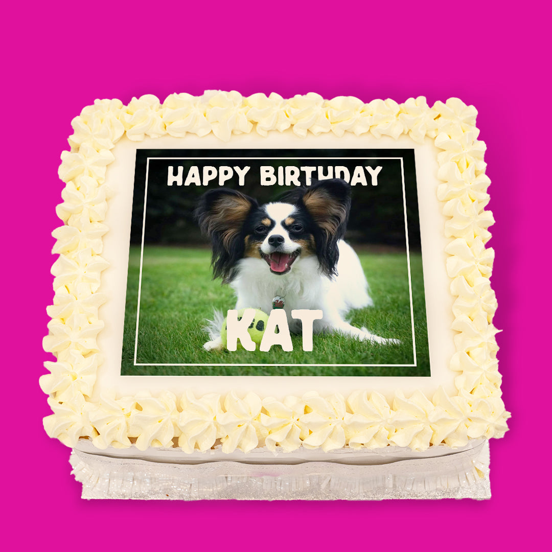 Dogs Pre-Designed Cakes