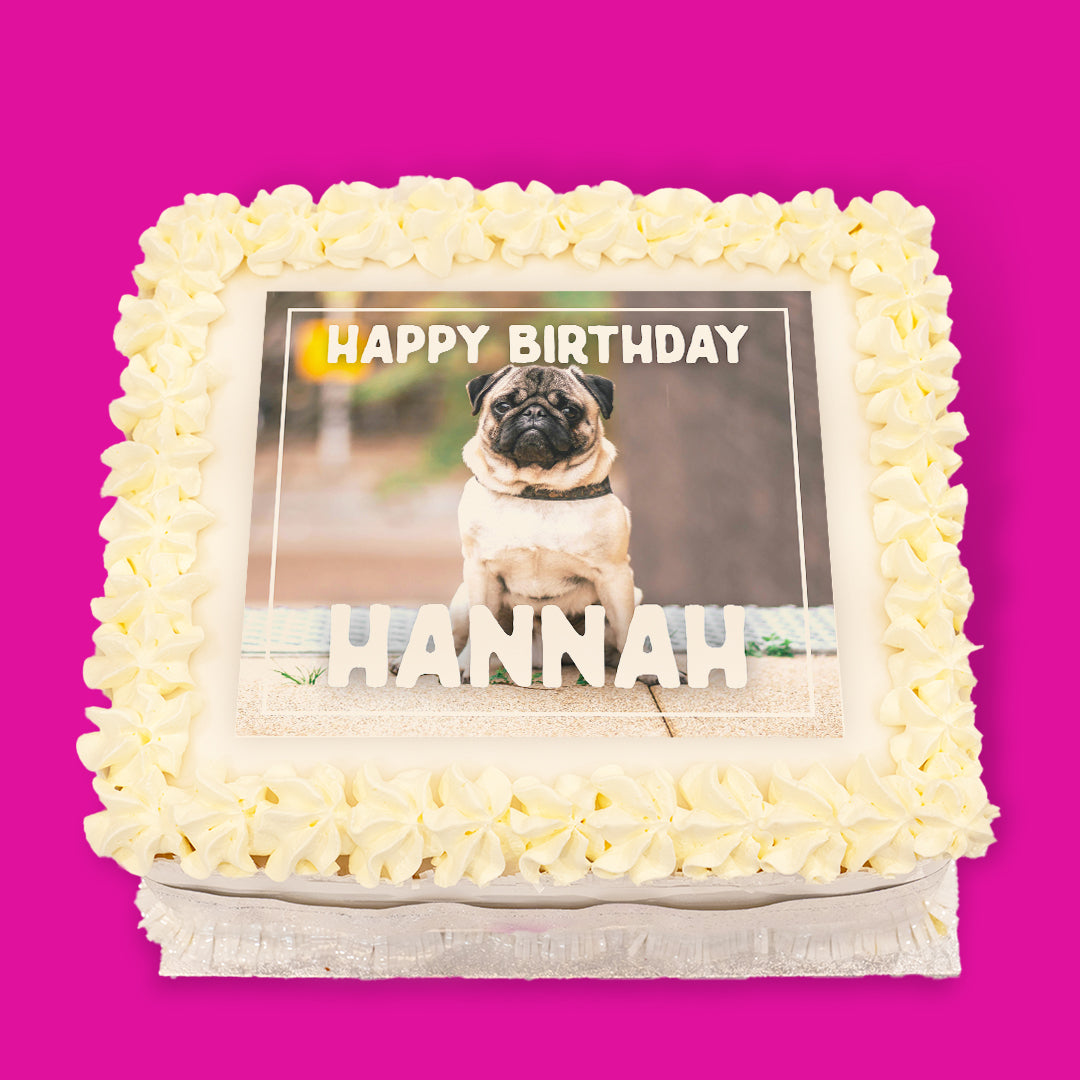 Dogs Pre-Designed Cakes