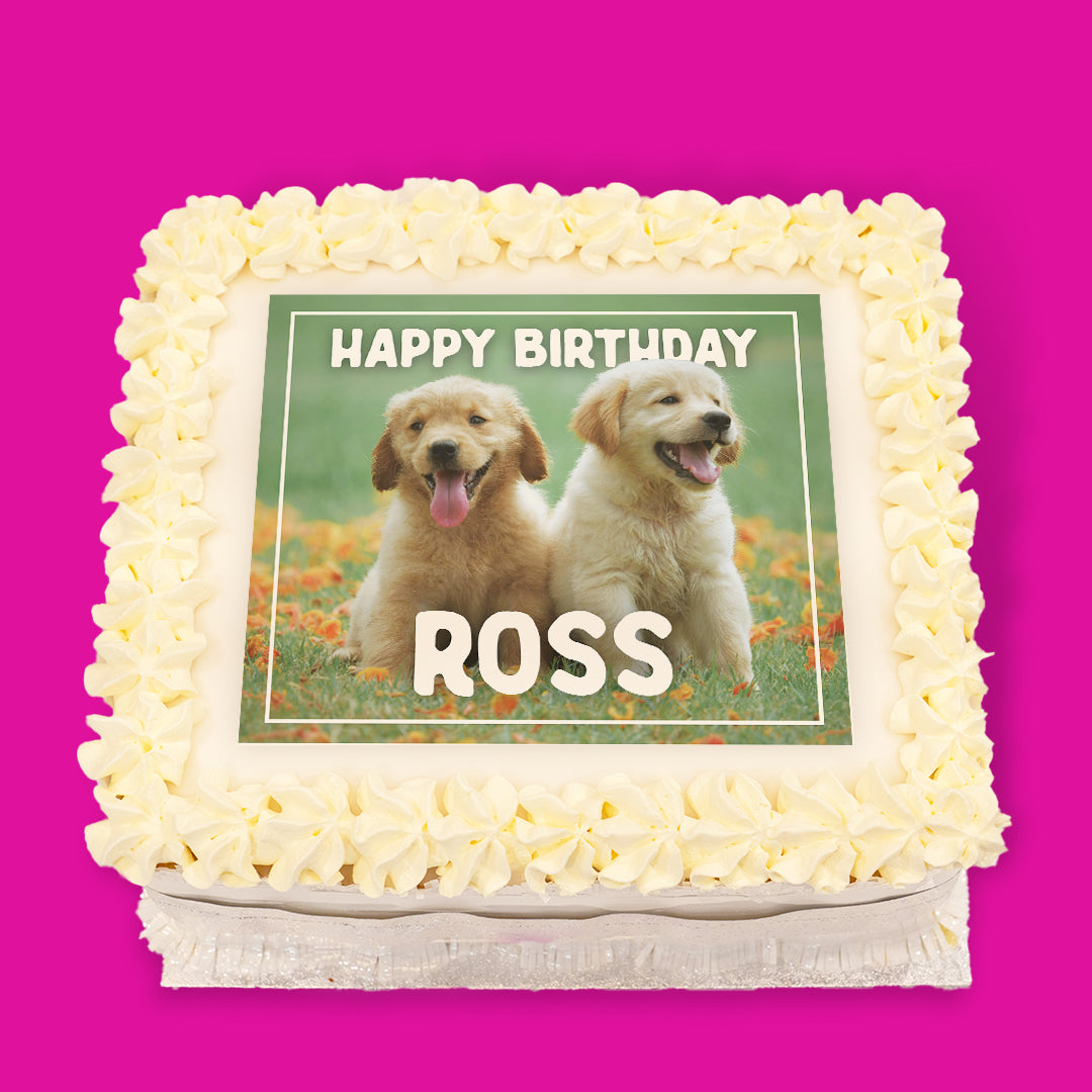 Dogs Pre-Designed Cakes