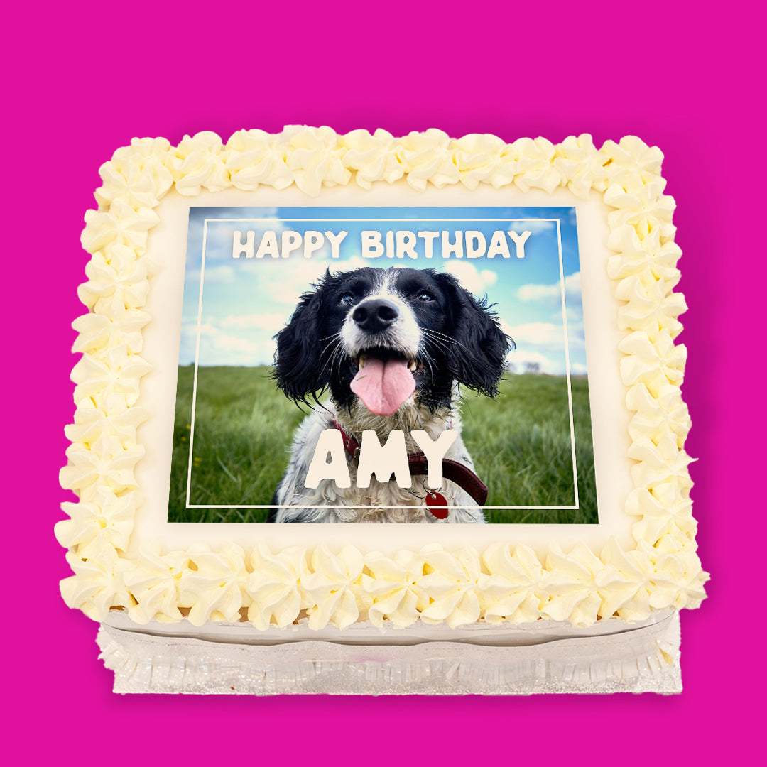 Dogs Pre-Designed Cakes