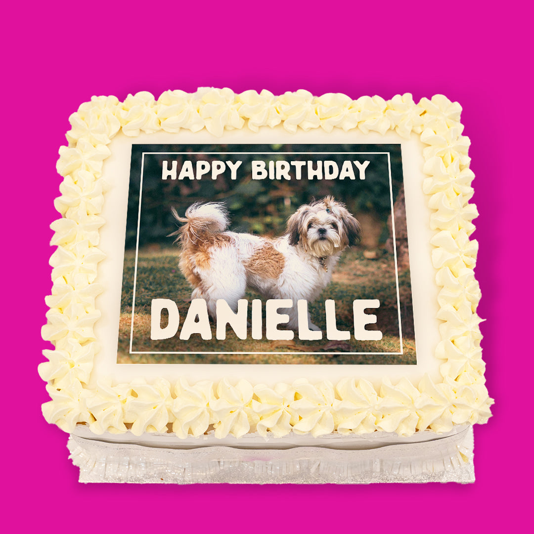 Dogs Pre-Designed Cakes