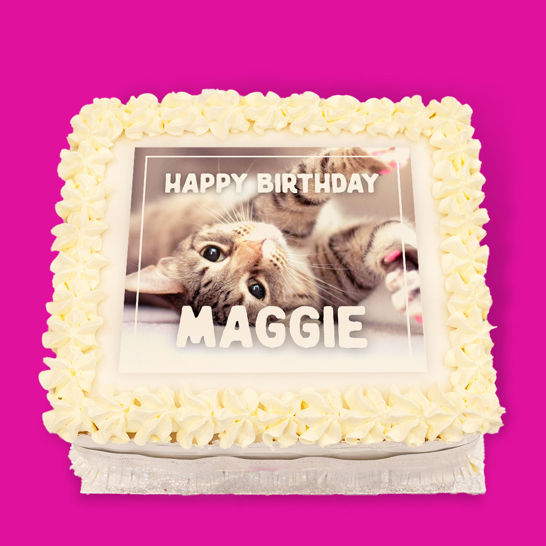 Animal Pre-Designed Cakes