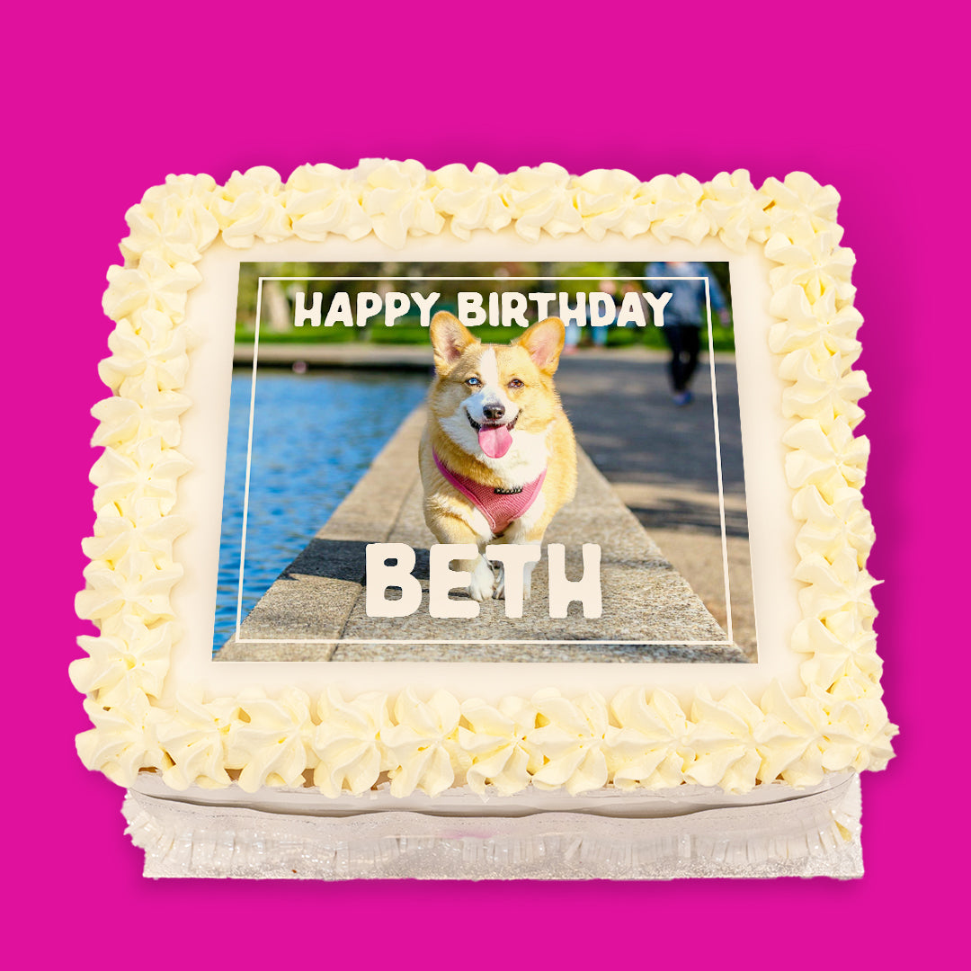 Dogs Pre-Designed Cakes