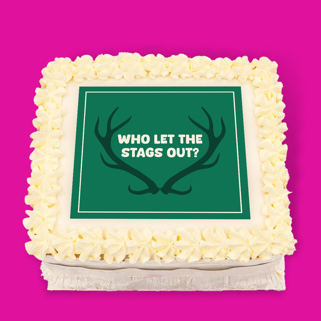 Stag & Hen Do Pre-Designed Cakes